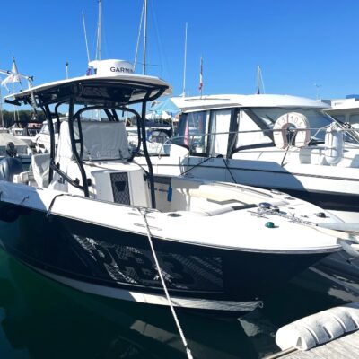 WELLCRAFT- 262 FISHERMAN - OCCASION - 2017